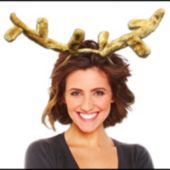 REINDEER ANTLERS